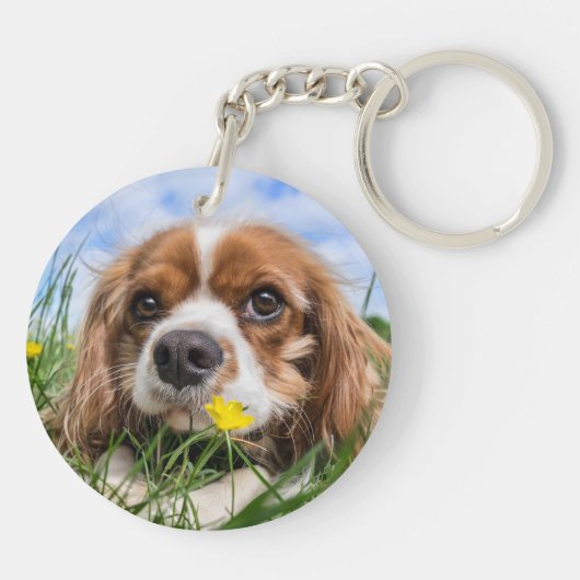Porte-clés Blenheim Cavalier King Charles Spaniel Chien Chien (Dos)