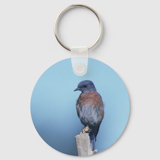 Porte-clés Bleu de l'Ouest (Recto)