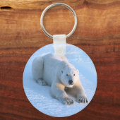 Porte-clés Bleu de l'ours polaire (Recto)