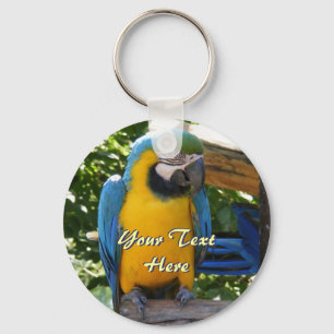 Porte-clés Bleu et porte - clé d'ara d'or