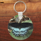 Porte-clés Bleu Iridescente Mormon Papillon (Recto)