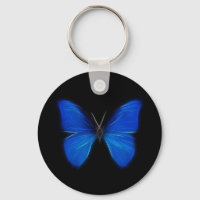 Bleu Papillon Flying Insect