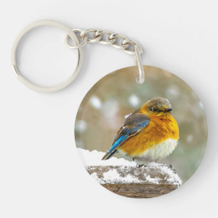 Porte-clés Bleuet de l'Est en neige - Photo originale