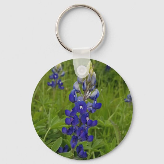 Porte-clés Bleuets du Texas (Recto)