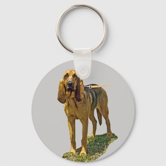 Porte-clés Bloodhound (Recto)
