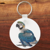 Porte-clés Blue and yellow Macaw (Recto)