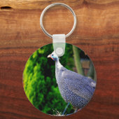 Porte-clés Blue Helmeted Guinea Fowl debout au soleil (Recto)