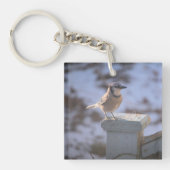 Porte-clés Blue Jay (Devant)