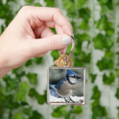 Porte-clés Blue Jay (main)