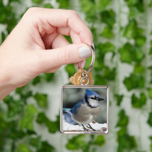 Porte-clés Blue Jay (main)