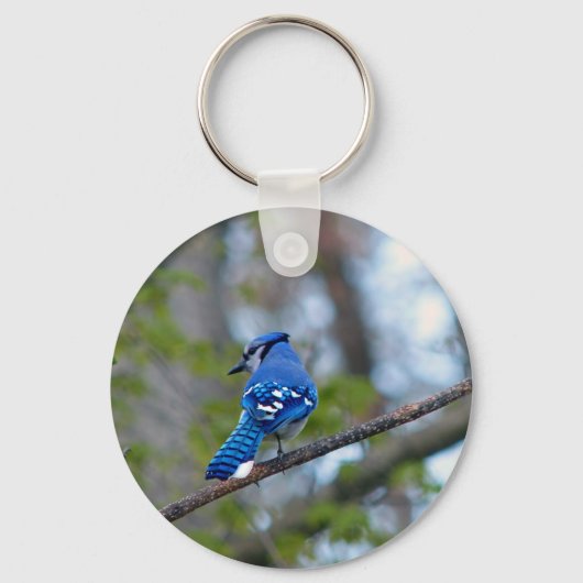 Porte-clés Blue Jay (Recto)