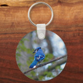 Porte-clés Blue Jay (Recto)