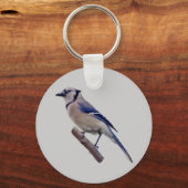 Porte-clés Blue Jay Bird (Recto)