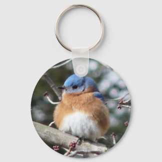 Porte-clés Bluebird