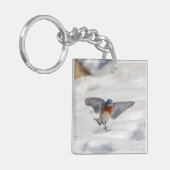 Porte-clés Bluebird oriental dansant dans la neige (Devant gauche)