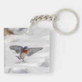 Porte-clés Bluebird oriental dansant dans la neige (Dos)