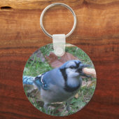 Porte-clés Bluejay Porte - clé par Koobear (Recto)
