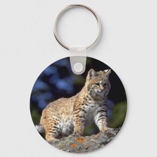 Porte-clés Bobcat (Recto)