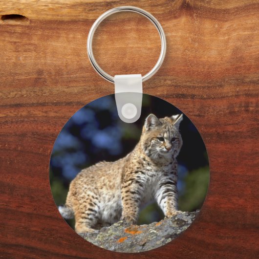 Porte-clés Bobcat (Recto)