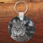Porte-clés Bobcat dans la neige (Recto)
