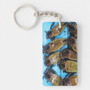 Porte-clés Bogue d'eau géante frite (Maeng Daa) ... Alimentat