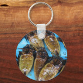 Porte-clés Bogue d'eau géante frite (Maeng Daa) ... Alimentat (Recto)