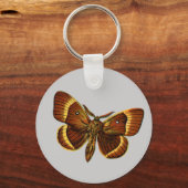 Porte-clés Bombyx quercus mâle (Recto)