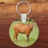 Porte-clés Bongo africain (Recto)