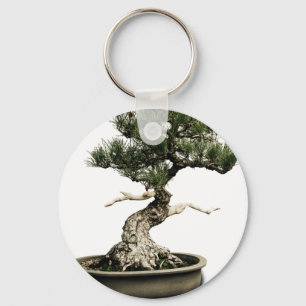 Porte-clés Bonsai
