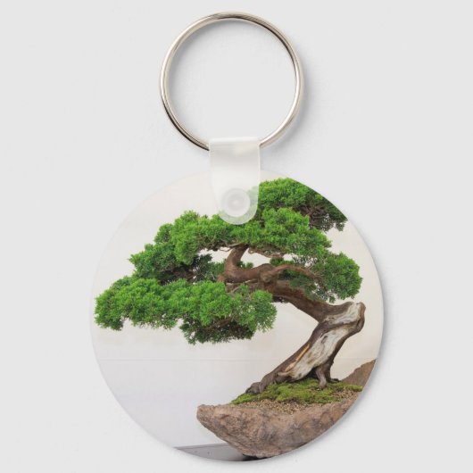 Porte-clés Bonsai arbre - naturel (Recto)