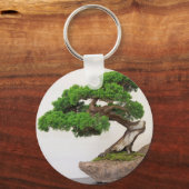 Porte-clés Bonsai arbre - naturel (Recto)