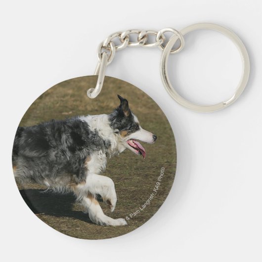 Porte-clés Border collie courant 1 (Dos)