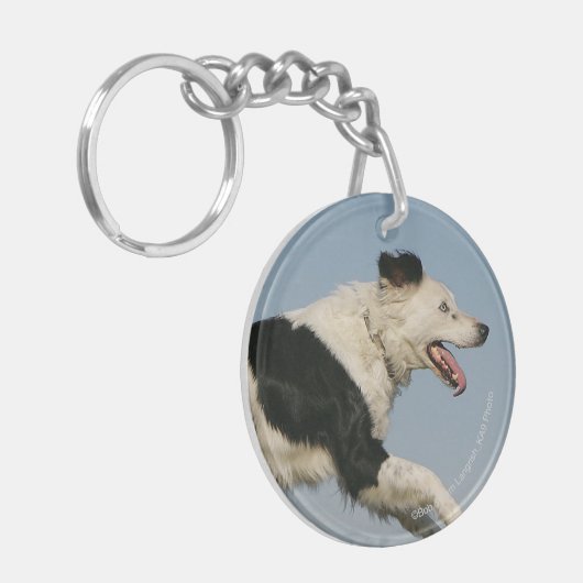 Porte-clés Border collie courant 2 (Devant gauche)