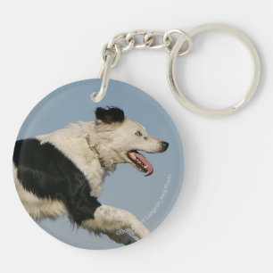 Porte-clés Border collie courant 2