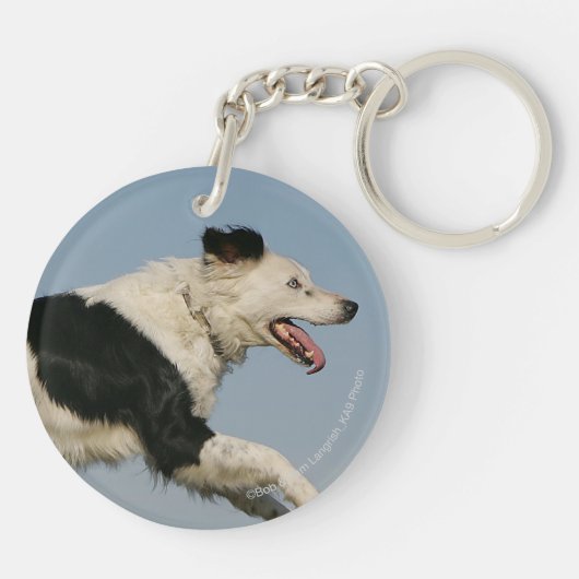 Porte-clés Border collie courant 2 (Dos)