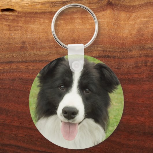 Porte-clés Bordure Collie (Recto)