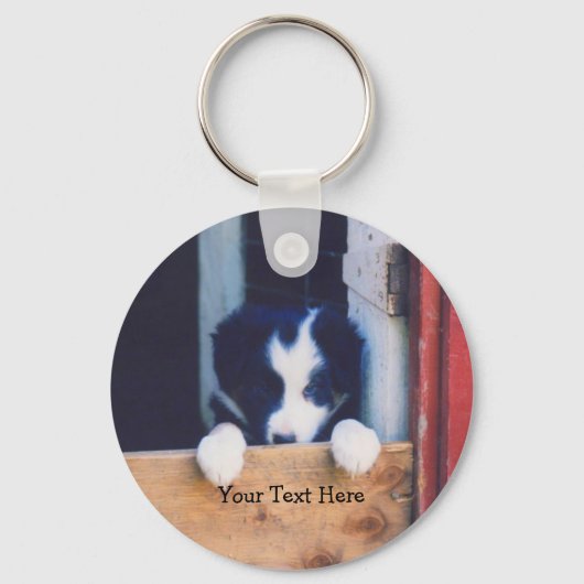 Porte-clés Bordure Collie Chien mignon chiot (Recto)