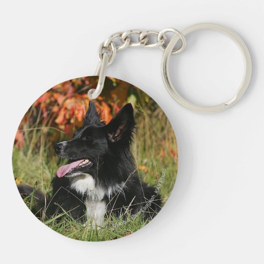 Porte-clés Bordure Collie Panne S'Étalant (Dos)