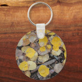 Porte-clés boreas pass aspens (Recto)