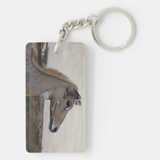 Porte-clés Boselaphus tragocamelus (Dos)