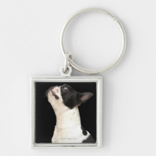 Porte-clés Boston noir et blanc Terrier recherchant