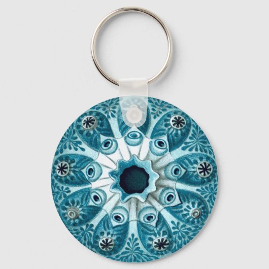 Porte-clés Botryllus Polycyclus Ernst Haeckel Fine Art (Recto)