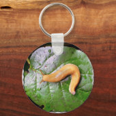 Porte-clés Bouchon sur le Porte - clé feuille (Recto)