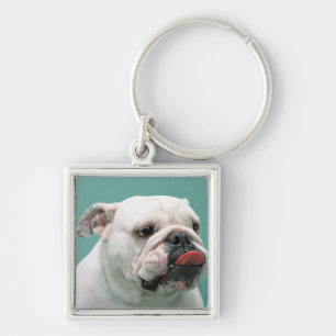 Porte-clés Bouledogue