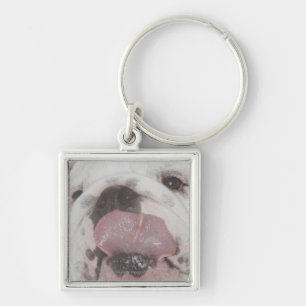 Porte-clés Bouledogue 2