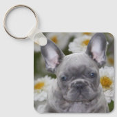 Porte-clés Bouledogue Français (Recto)