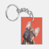 Porte-clés Bouledogue français (Devant gauche)
