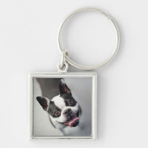 Porte-clés Bouledogue français des images de Getty