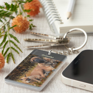 Porte-clés Bouledogue français et Mastiff amis