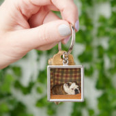 Porte-clés bouledogue se trouvant sur un sofa (main)